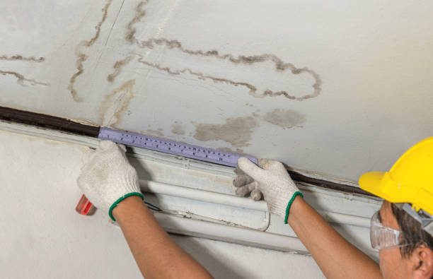 Reliable Water Damage contractor in Shallowater, TX by Water Damage Irwin